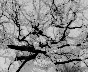 12-Gintaras_Jaronis